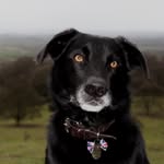 Basil Scott - @badmanbasil - Instagram