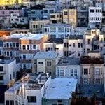 Basil - @basil.shahab - Instagram