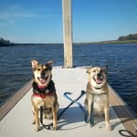 Basil & Cybill Shepherd - @shepherd.sister.squad - Instagram
