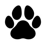 Basil shepherd - @basil_shepherd.001 - Instagram