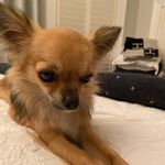 Basil Ward - @basil.ward - Instagram