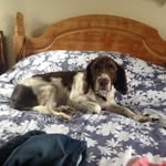 Basilward123 - @basilward123 - Instagram
