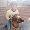 bassem wasef - @bassemwassef4 - TikTok