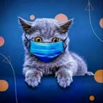 Basudeb Bhattacharyya - @basudeb.bhattacharyya.186 - Instagram