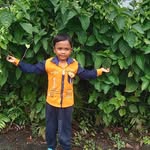 Basudeb Ray - @basudeb.ray.5811 - Instagram
