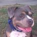 Bathsheba Brown - Facebook