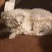 Bathsheba Graham-Peterson - Facebook