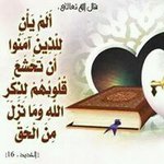 Batol Mohammed - @mohammedbatol - Instagram