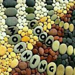شاپرک - @batool_amini_khodashahri - Instagram
