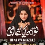 Batool fatima - @batool_fatima_naqvi1 - Instagram