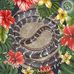 Himayat Batoor - Facebook