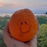batool ibrahim - @batool.sawalha04 - Instagram