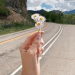 Batool Ibrahim - @batool.ibrahim87 - Instagram