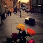 Batool Ibrahim - @batoolibrahim - Instagram