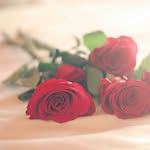 batool ibrahim - @batoolial - Instagram