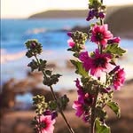 Batool Ibrahim - @batool_ibrahim - Instagram