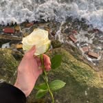 @batooljaffer_14 - Instagram