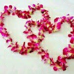 Batool Kazmi - @batool_kazmi - Instagram