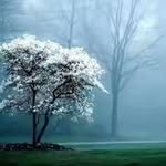 Batool Khan - @batool.khan.75685 - Instagram
