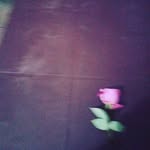 Batool Khan - @batool.khan.372661 - Instagram
