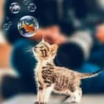 Batool Mirza - @batool.mirza2 - Instagram