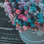 βᕱƬ♡♡Ꮭ🐚" - @_batoolnassar - Instagram