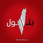 Batool Nassar - @batool.nassar.7 - Instagram