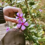 Batool Raza - @zimel_batool - Instagram