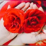 Batool Raza - @batoon.raza - Instagram