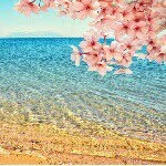 batool - @batool.sadeghi - Instagram