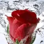 batool sadeghi - @bsadqyrad - Instagram