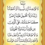 Batool Salem - @batoolsalem379 - Instagram
