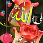 Batool Shaikh - @batool2155 - Instagram