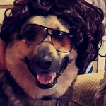 Battle Malone - @battle901 - Instagram