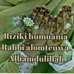 Batul Ali - @batul.ali.399 - Instagram