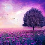 Batul Ali Asghar - @batulaliasghar - Instagram
