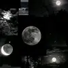 batoul mansouri - @batoul.mansouri4 - TikTok