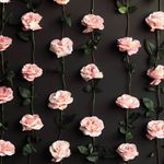 Batul Patel - @batzmakda52 - Instagram