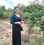 Báu Phan - Facebook