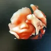 Mẹ bầu thông thái 🤓 - @mebauthongthai.1 - TikTok