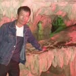 Bau Tran - @bau_tran - Instagram