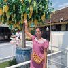 bauung - @bauung - TikTok
