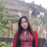 Vàng Bầu - @bau.vang.5602 - Instagram