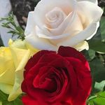 Baudelia Angulo Pelayo - @angulopelayo - Instagram