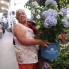 BAUDELIA_Garcia - @baudelia_garcia_ramirez - TikTok