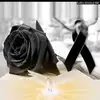 Baudelia Ramírez - @userux25yg5ekj - TikTok
