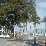 Baudelia Rijas Ramirez - @baudeliarijas - Instagram