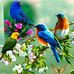 Baudelio Ramirez - Facebook