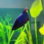 @bauer_design - Instagram
