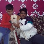 Naina Bavadia - @bavadianaina - Instagram